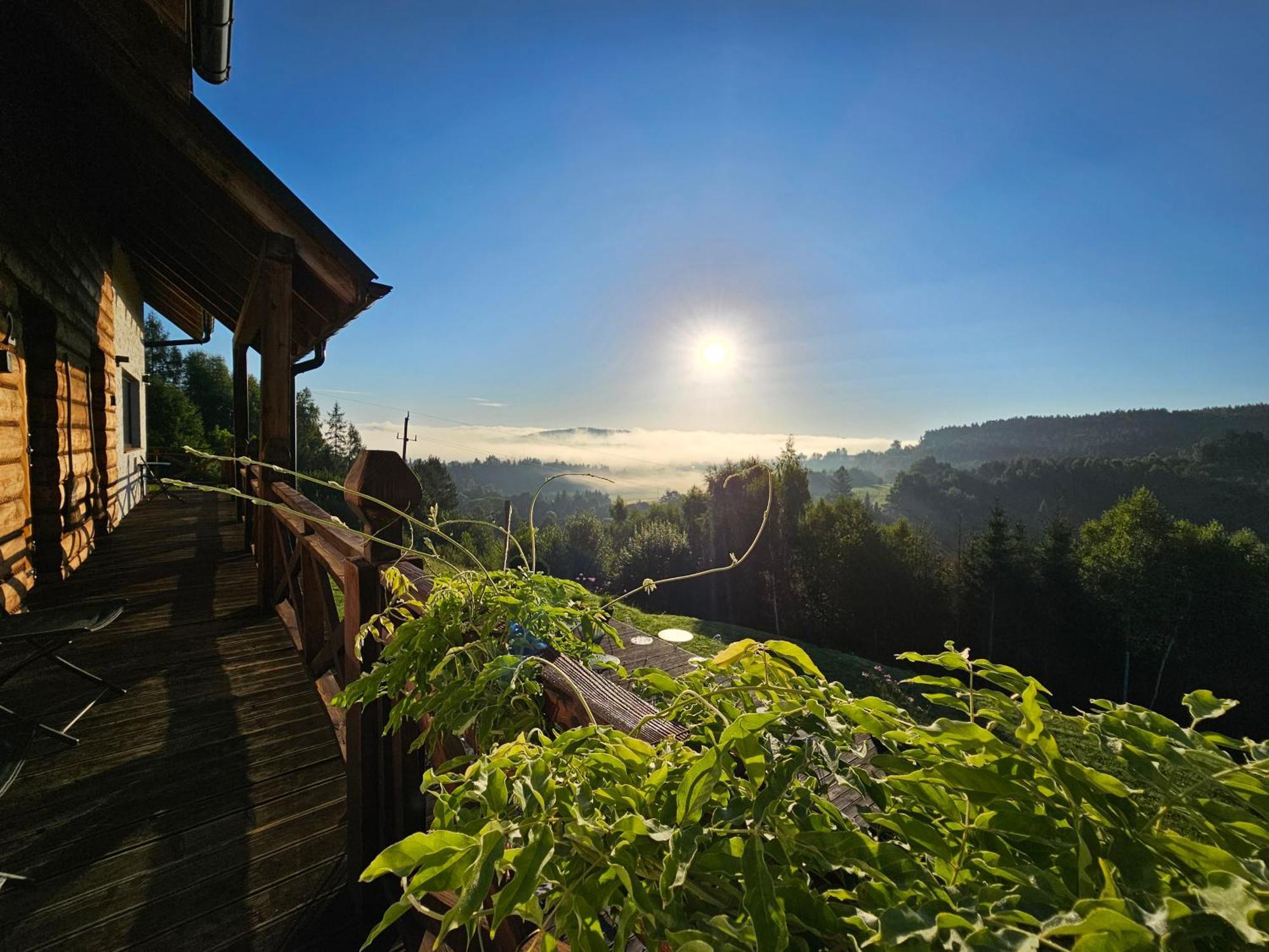 Chata W Bieszczadzie Apartamenty I Domki Z Sauna Bieszczady Polańczyk Exterior foto